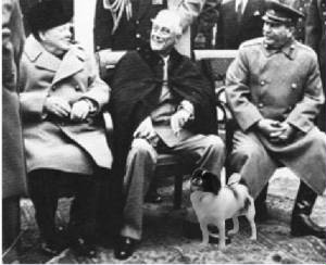 fdr1.jpg