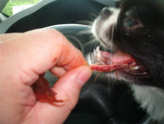jerky.jpg
