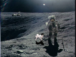 spacedog.jpg