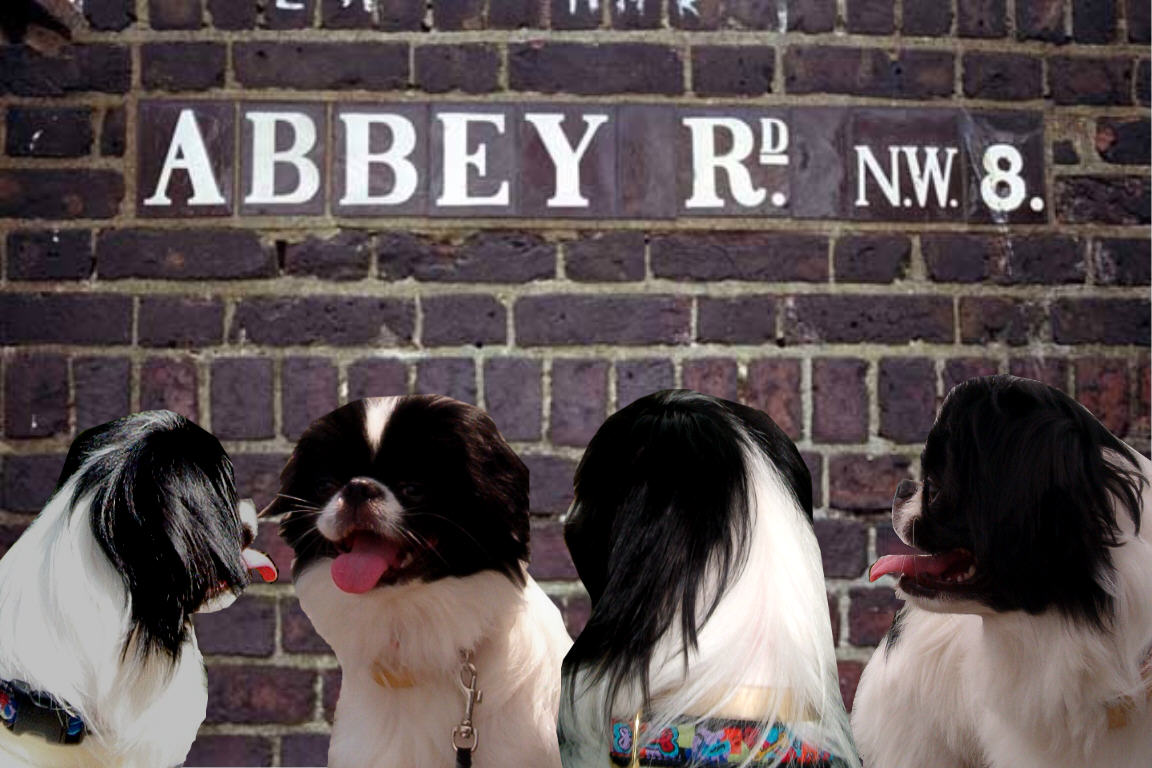 abbeyrd.jpg